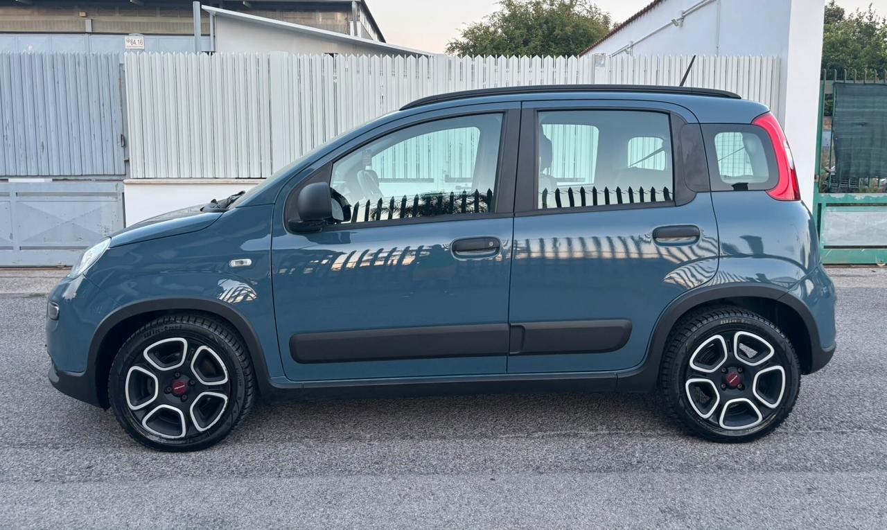 Fiat Panda 1.0 FireFly S&S Hybrid City Life ANNO 12/2021