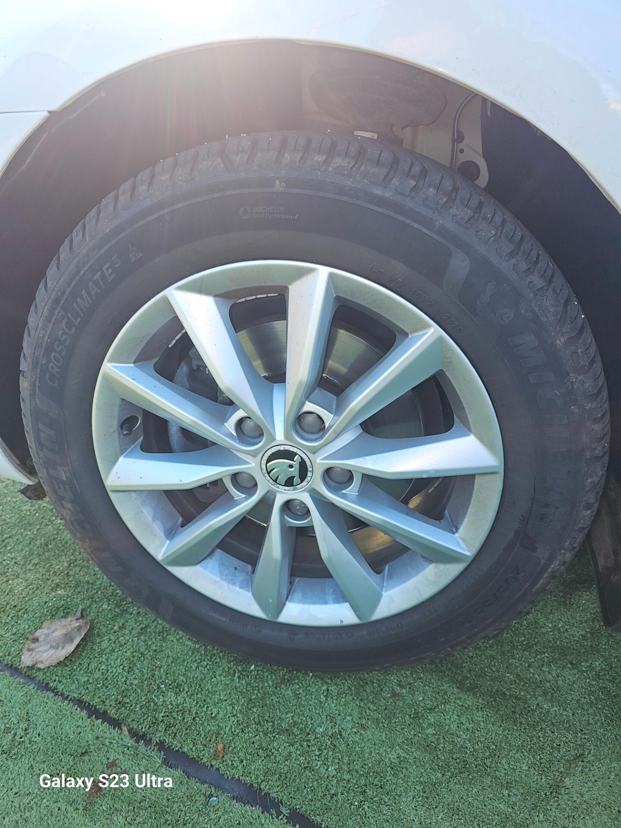 Skoda Octavia 1.6 TDI CR 110 CV 4x4 Wagon Executive