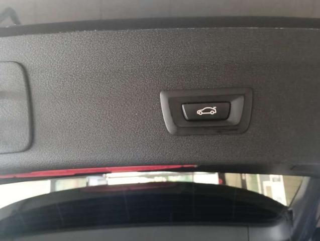 BMW X1 X1 F48 xdrive25d xLine auto