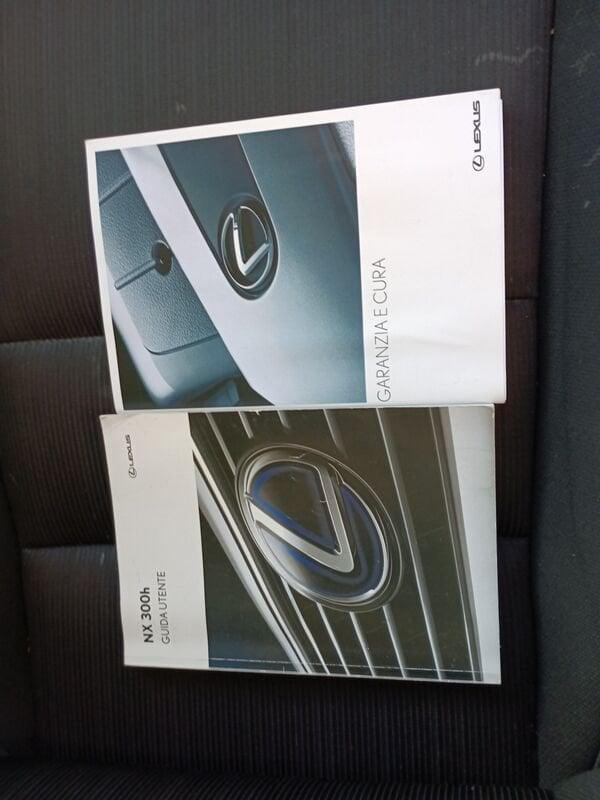 Lexus NX NX Hybrid 4WD Business