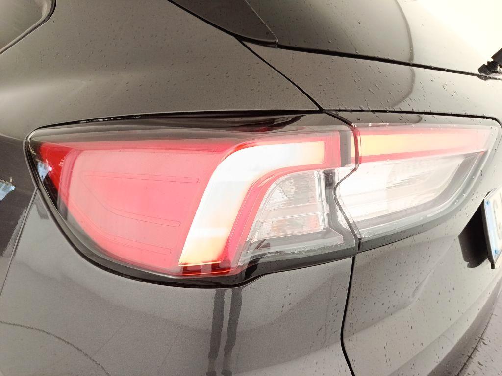 FORD Kuga 3ª serie - Kuga 1.5 EcoBlue 120 CV 2WD ST-Line