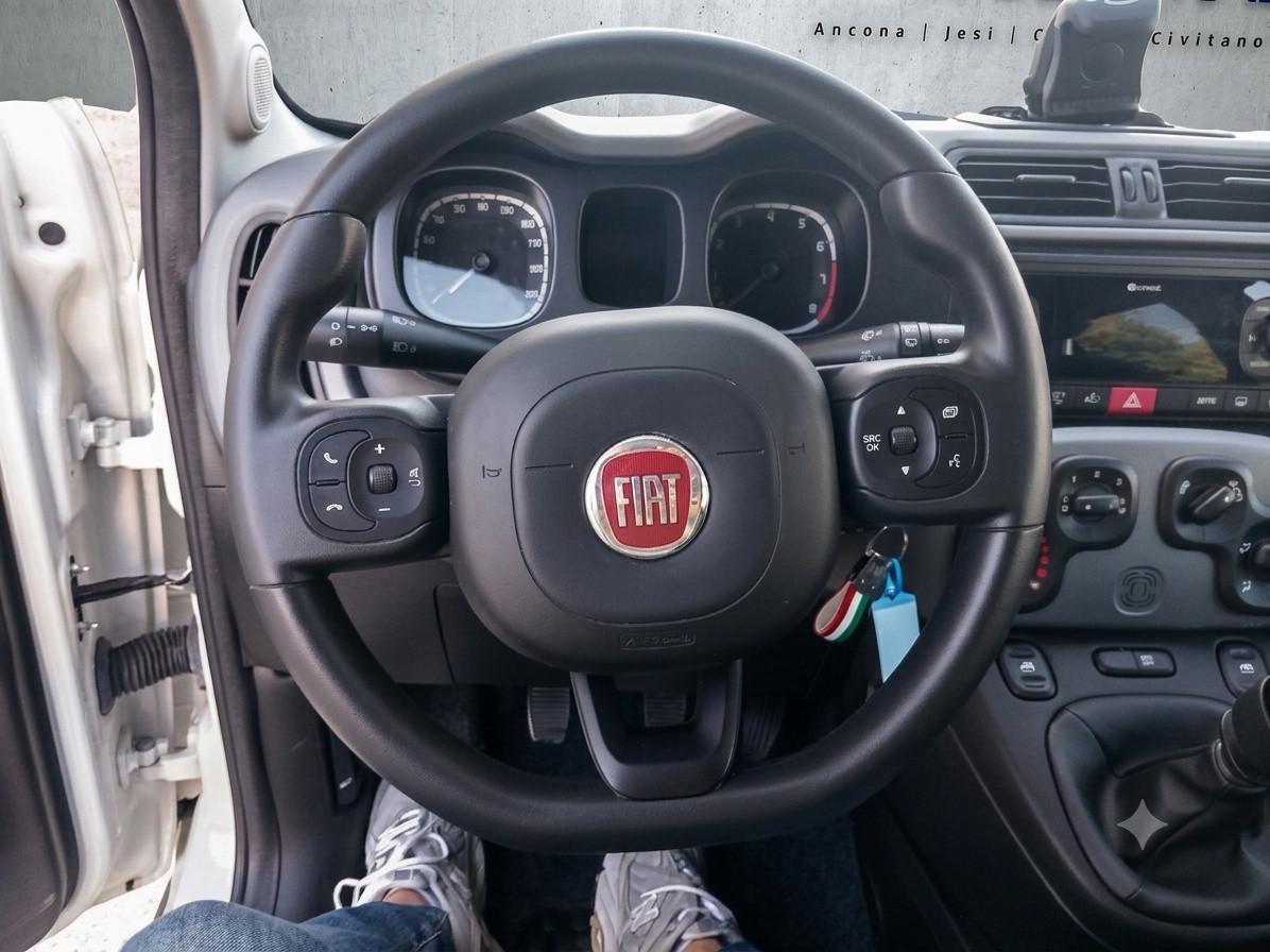 FIAT PANDA - Panda 1.0 FireFly S&S Hybrid City Cross