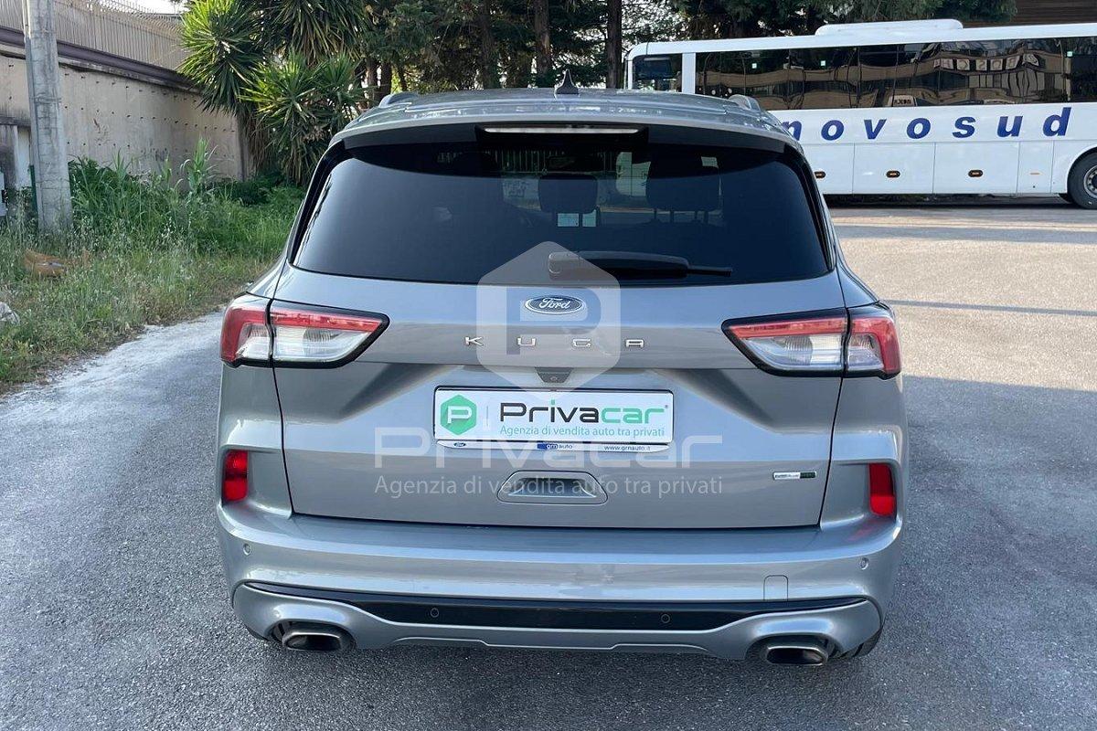 FORD Kuga 2.0 EcoBlue Hybrid 150 CV 2WD ST-Line
