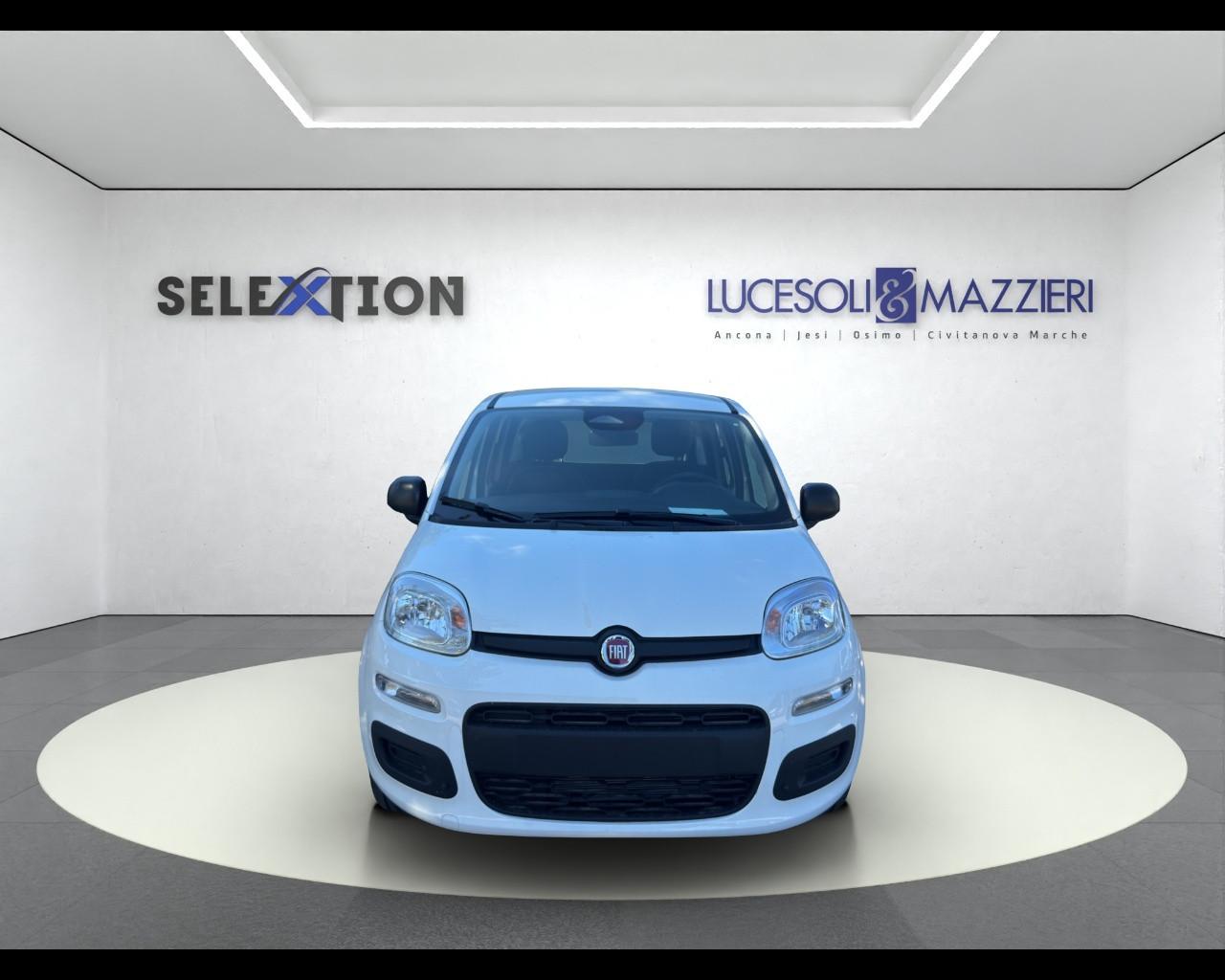 FIAT Pandina My26 1.0 65cv Hybrid Icon