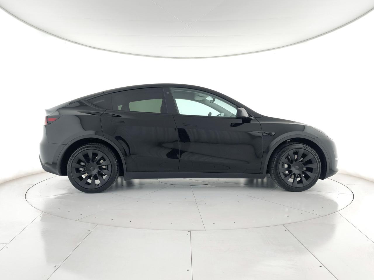 TESLA Model Y Long Range Dual Motor awd + AUTOPYLOT MAX