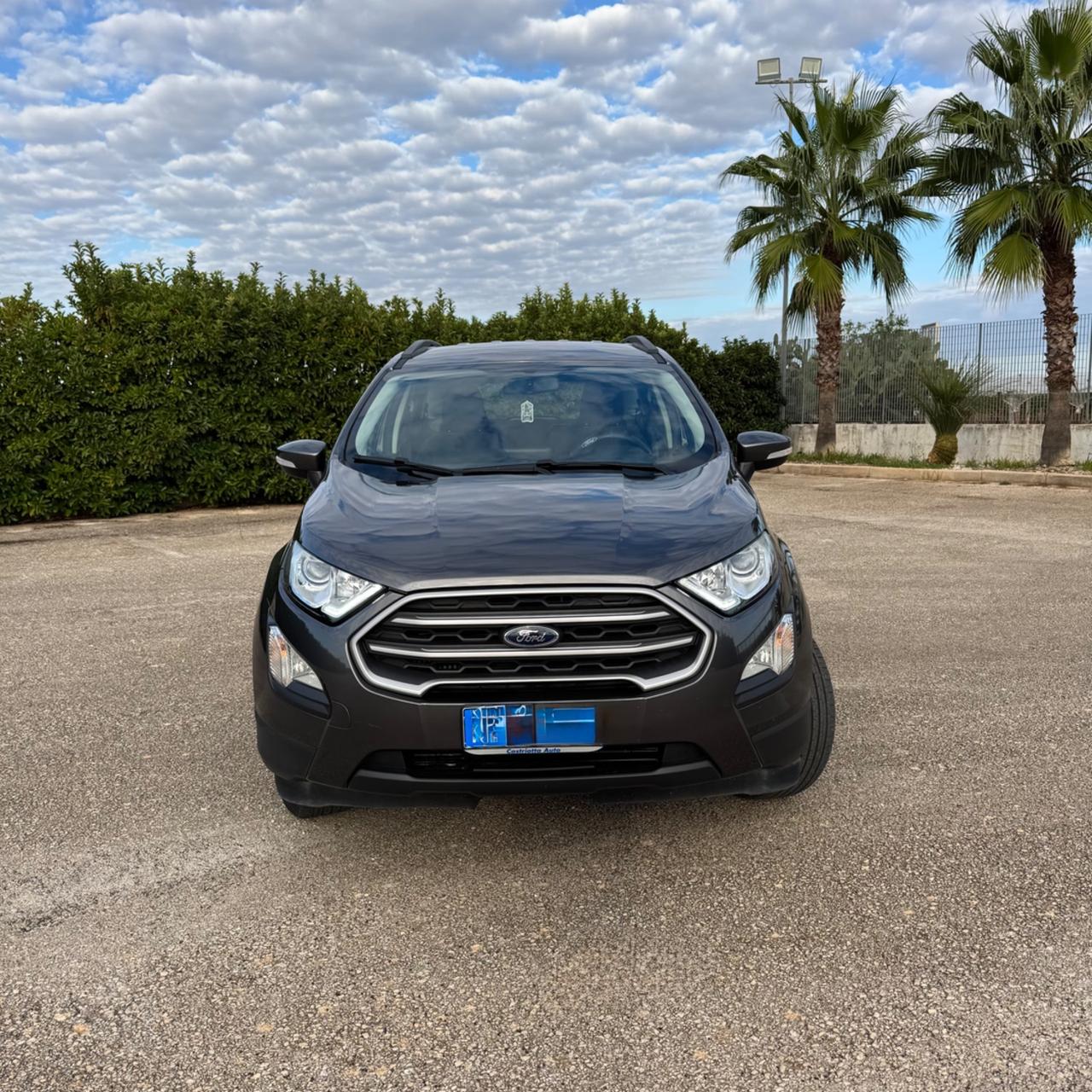 Ford EcoSport 1.0 EcoBoost 125 CV Start&Stop aut. Business