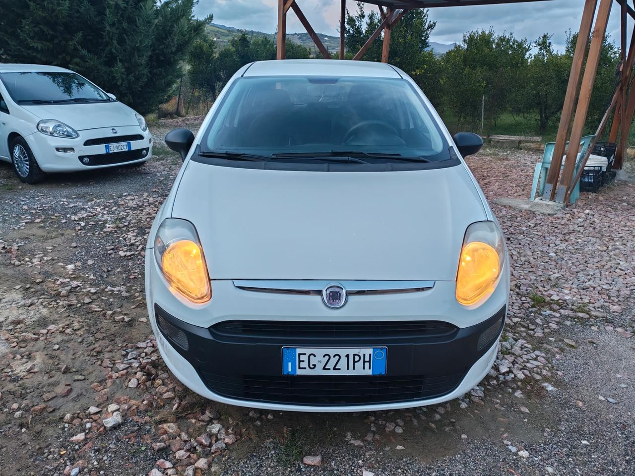 Fiat Punto Evo 1.3 Mjt 75 CV DPF 5 porte S&S Blue&Me