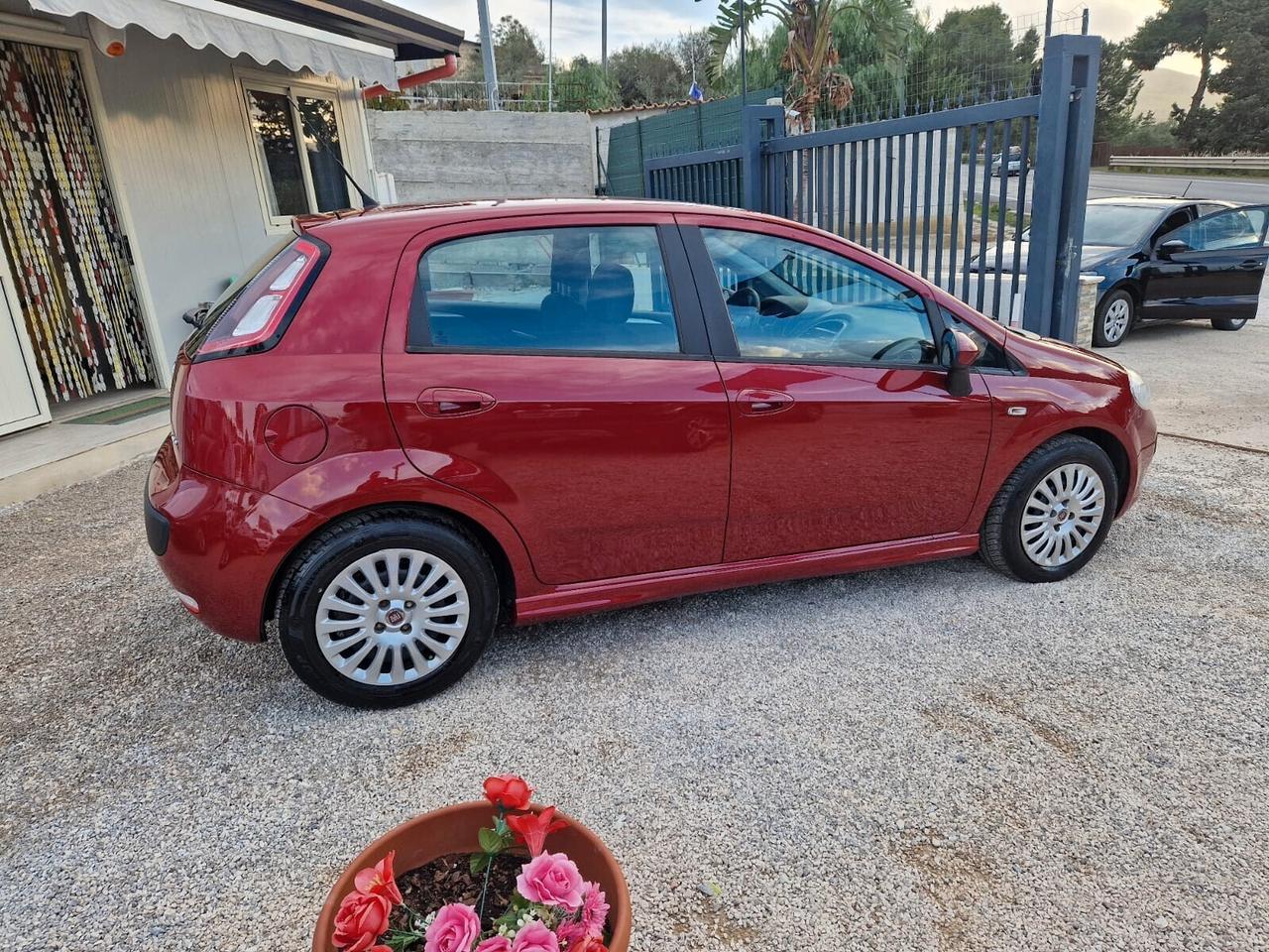 Fiat Punto Evo Punto Evo 1.3 Mjt 85 CV DPF 5 porte S&S MyLife