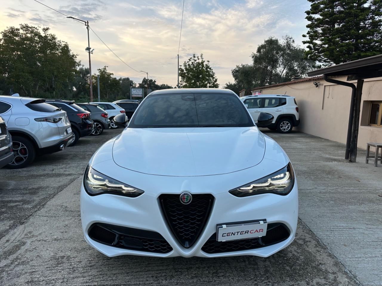 Alfa Romeo Stelvio 2.2 Turbodiesel 210 CV AT8 Q4 Tributo Italiano