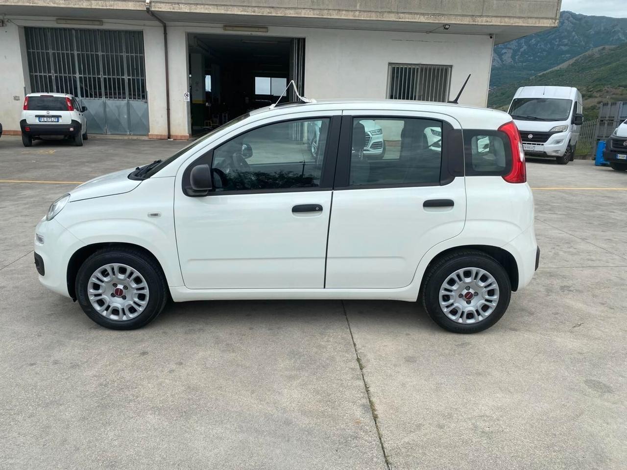Fiat Panda 1.2 Benz/GPL EasyPower 2020