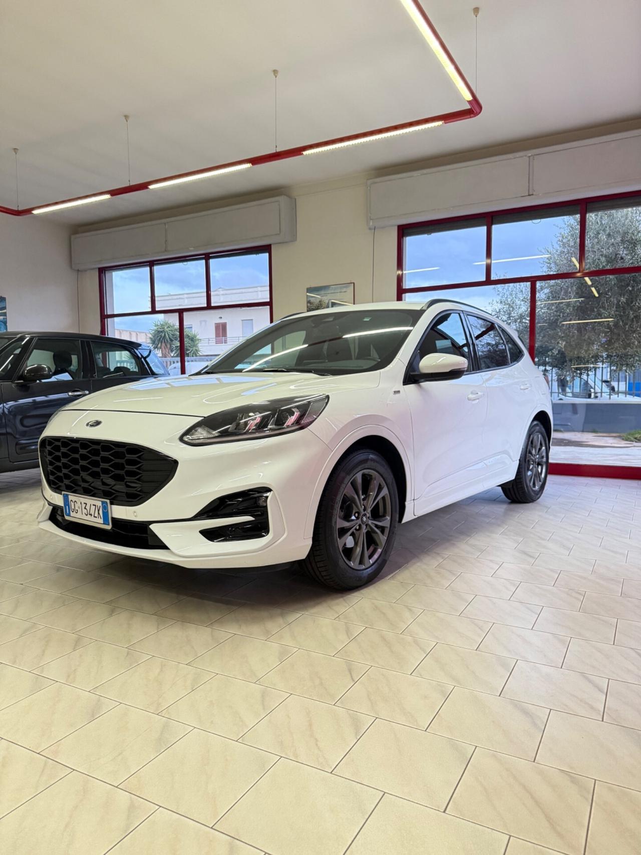 Ford Kuga 1.5 EcoBlue 120 CV aut. 2WD ST-Line X