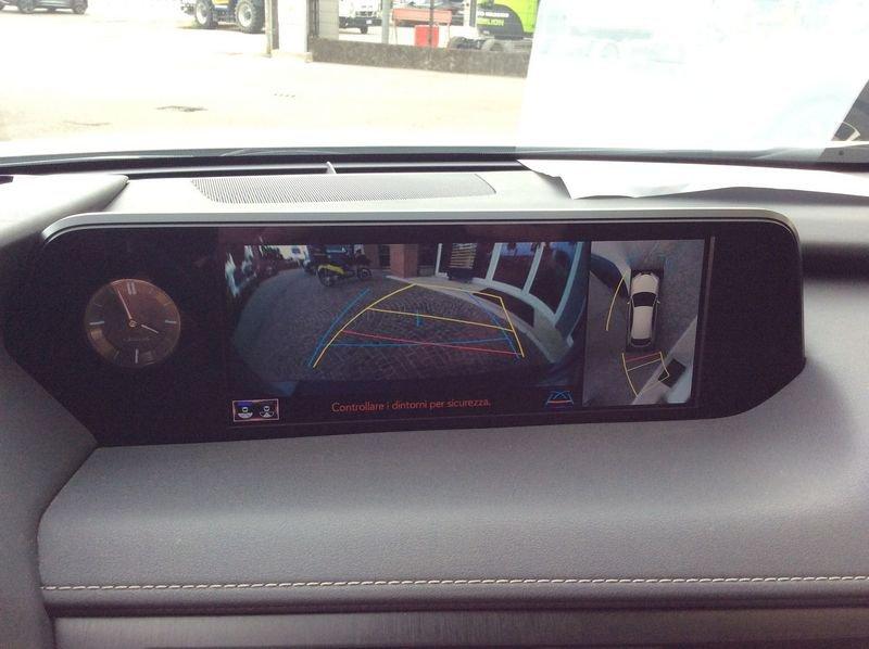 Lexus NX NX Hybrid 4WD Luxury