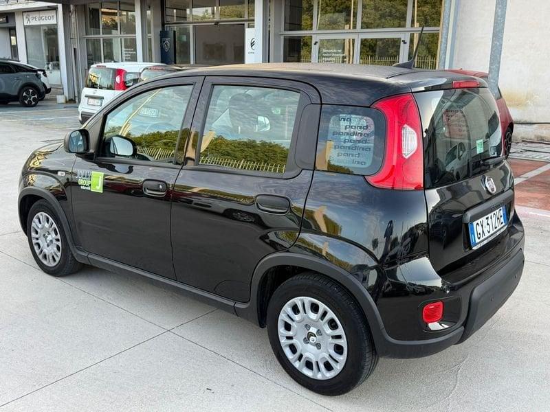 FIAT Panda NEW 1.0 70cv Hybrid PANDA