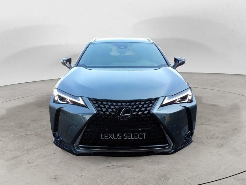 Lexus UX 250 Hybrid Premium 2WD