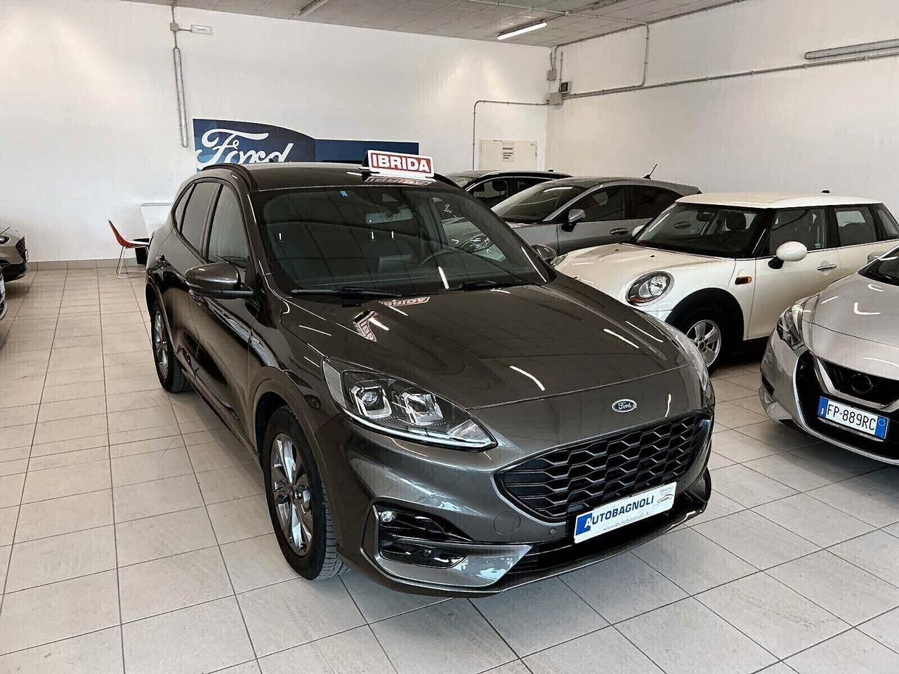 Ford Kuga ST-LINE 2.0 EcoBlue Hybrid 150 CV