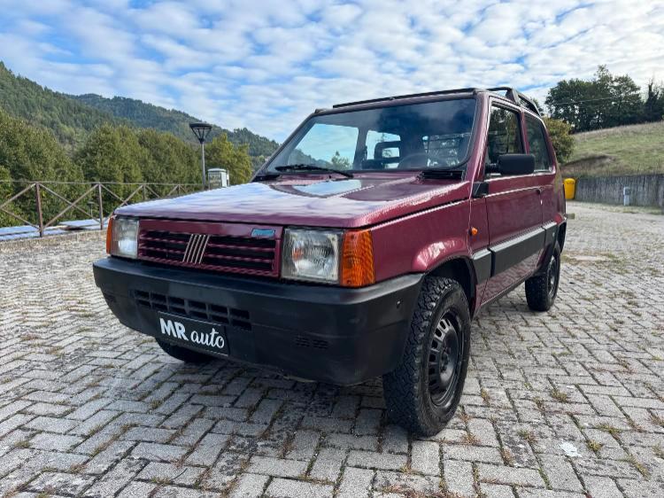 Fiat Panda 1.1 Fire Trekking 4x4 cat.