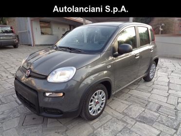 FIAT Panda 1000 HYBRID PANDA 70CV 5POSTI STEREO USB ITALIA