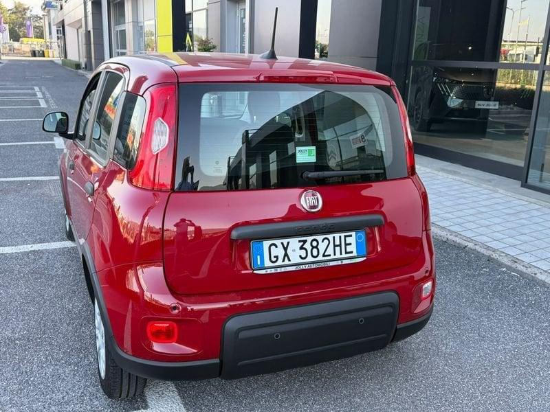 FIAT Panda NEW 1.0 70cv Hybrid PANDA