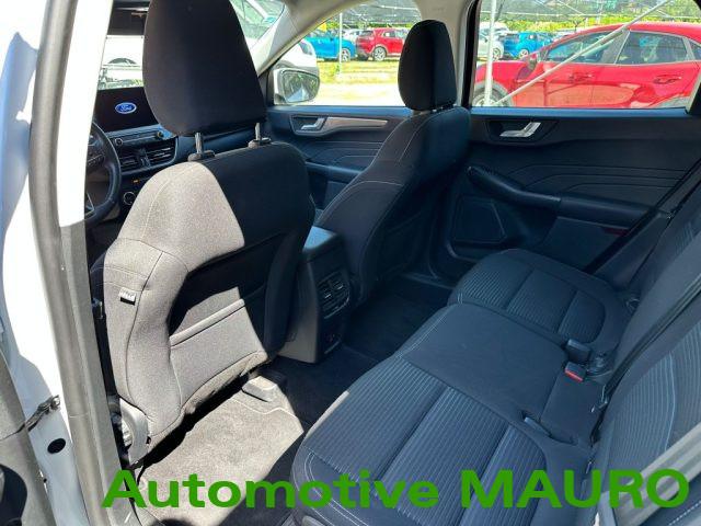 FORD Kuga 1.5 EcoBlue 120 CV 2WD Titanium Business