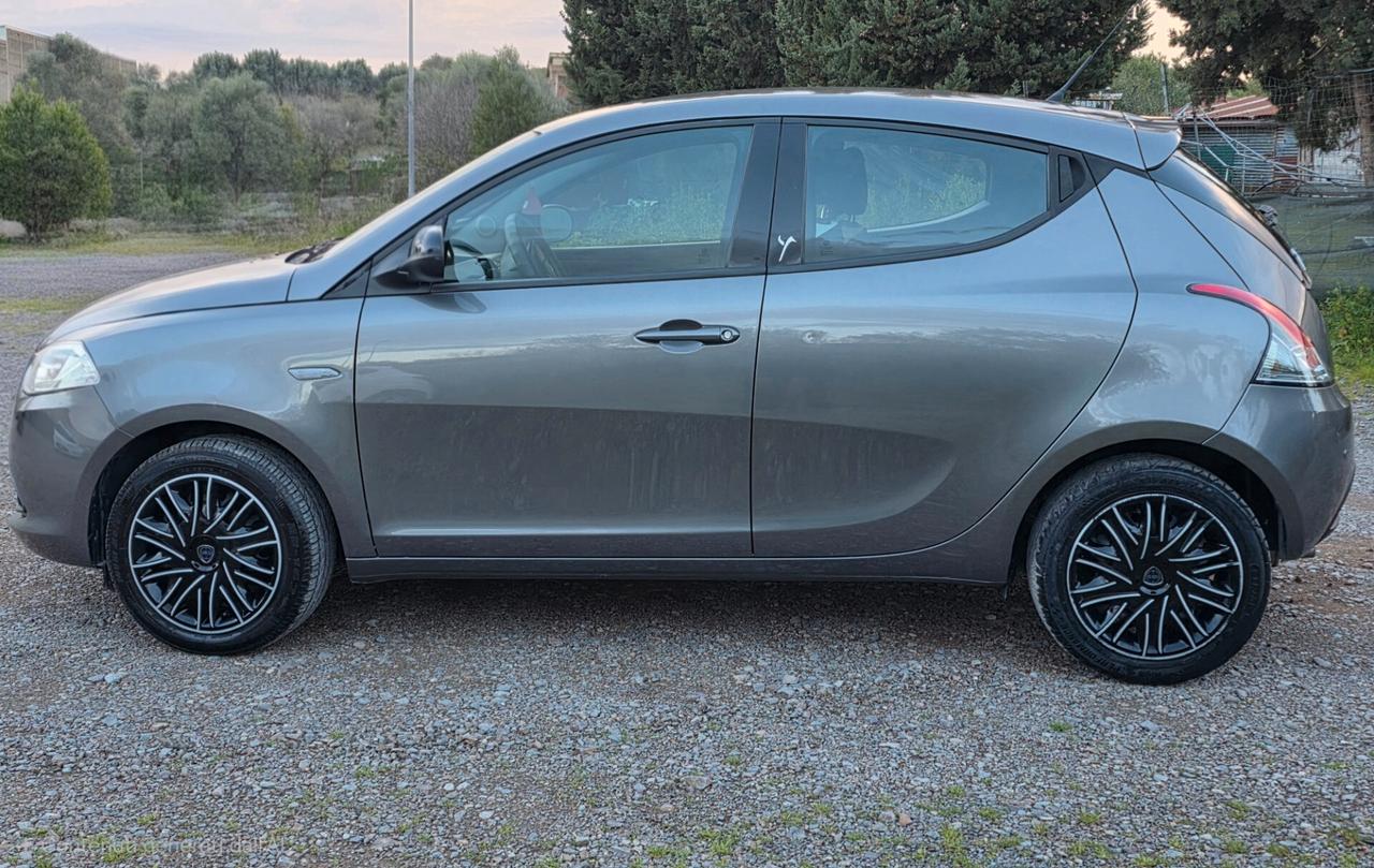 Lancia Ypsilon 1.2 69 CV 5 porte Platinum