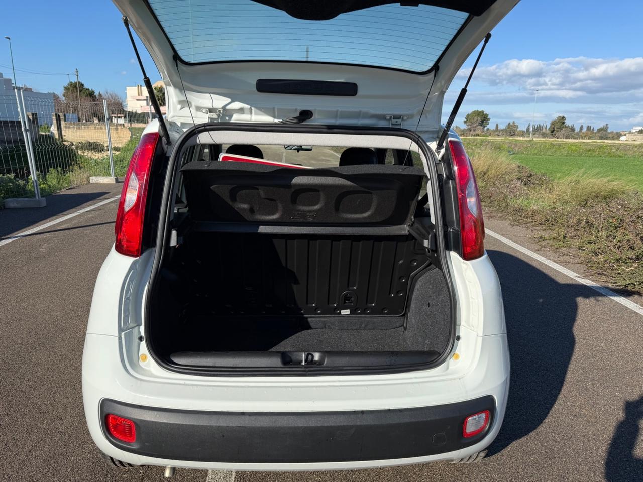 Fiat Panda 1.0 FireFly S&S Hybrid