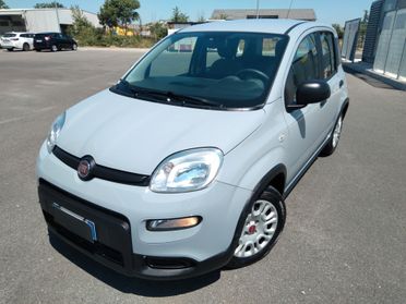 Fiat Panda 1.0 70cv FireFly S&S Hybrid x neopatentati