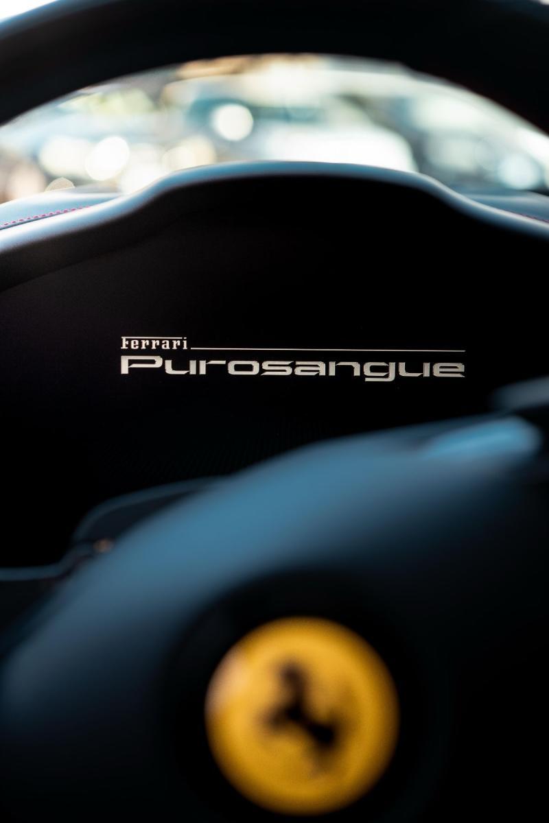 FERRARI - Purosangue