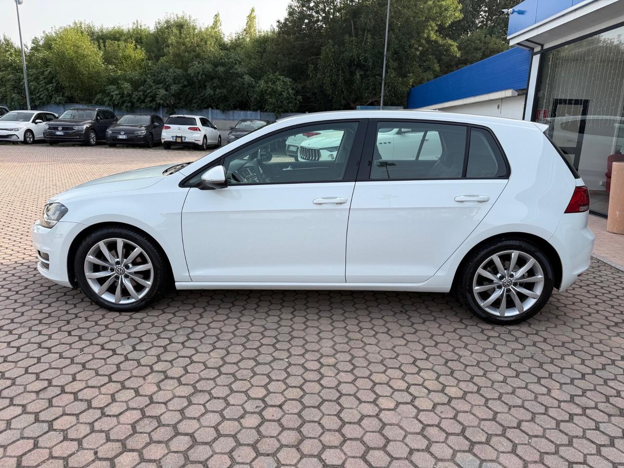 Volkswagen Golf Business 1.6 TDI 5p. Highline