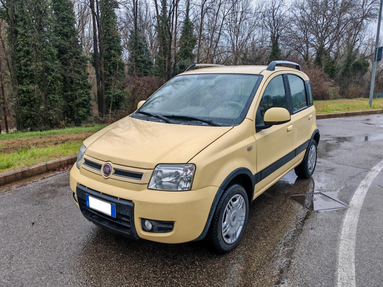 Fiat Panda 1.4 Dynamic Incidentata
