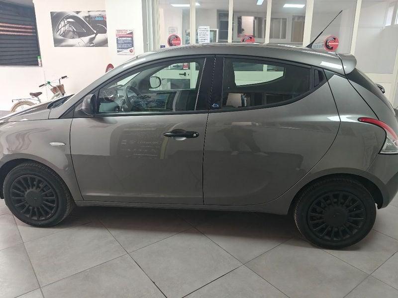 Lancia Ypsilon Ypsilon 1.2 69 CV 5 porte GPL Ecochic Elefantino