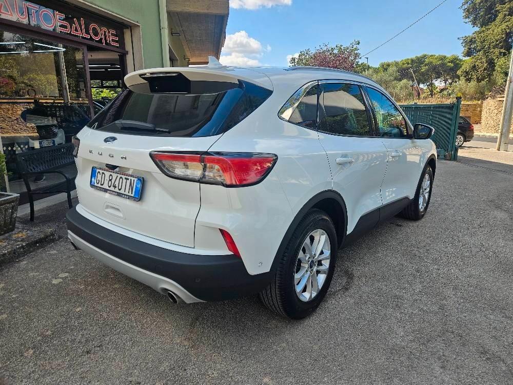 Ford Kuga 1.5 EcoBlue 120 CV 2WD Titanium