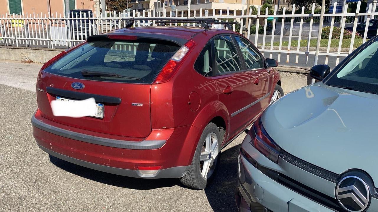 Ford Focus C-Max Focus+ 1.6 TDCi (90CV) 5p.