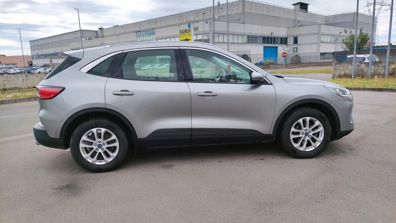 Ford Kuga 1.5 EcoBlue 120 CV aut. 2WD Titanium NEOPATENTATI - 2022