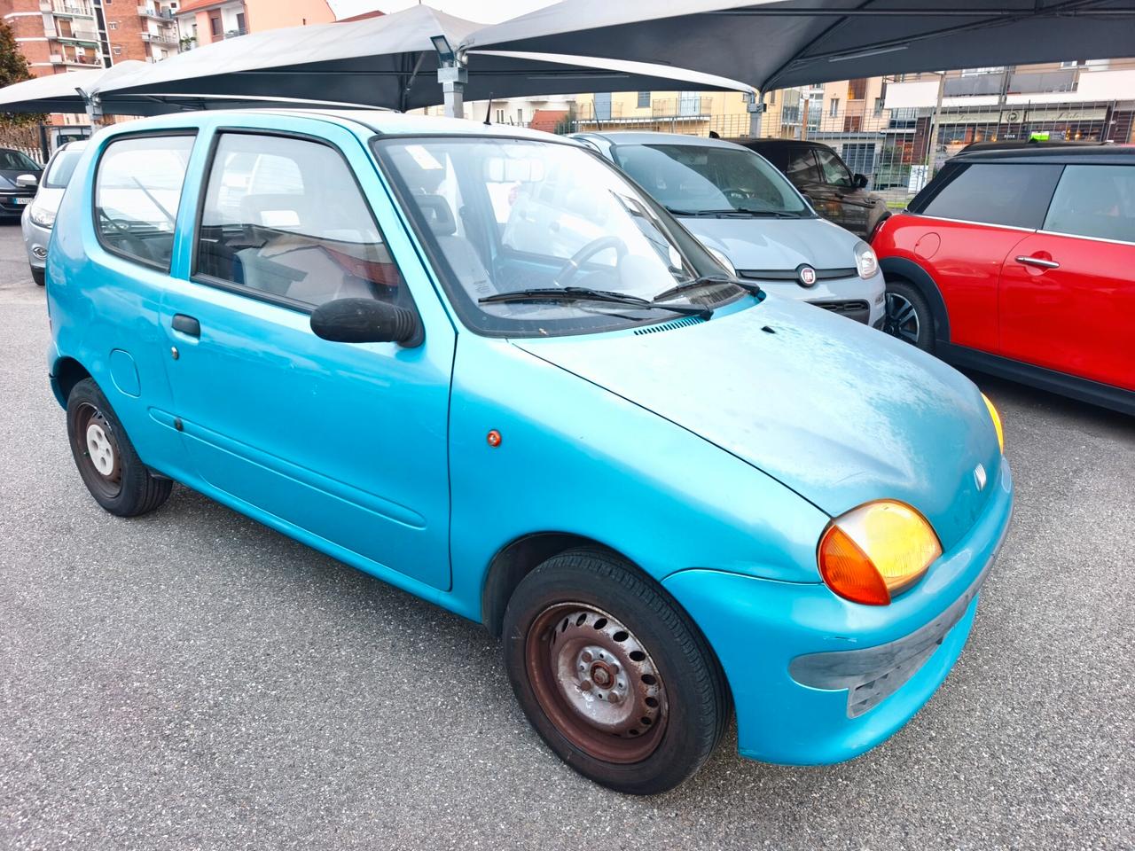 Fiat Seicento 900i cat Young