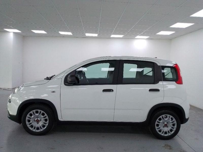 FIAT Panda 1.0 firefly hybrid s&s 70cv