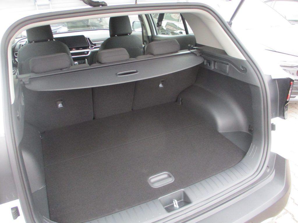 Kia Sportage 1.6 CRDI 136Cv MH DCT Business - PRONTA