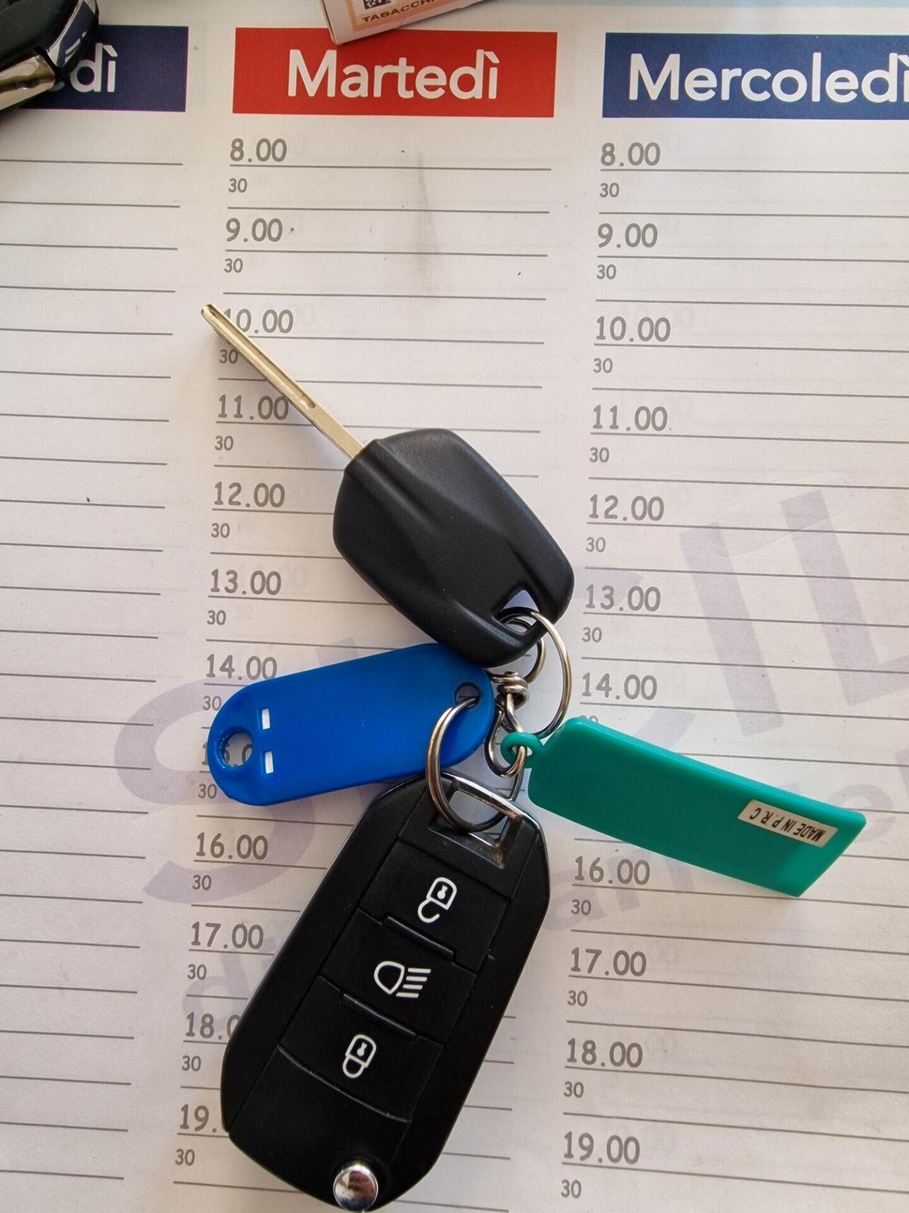 Citroen C3 BlueHDi 100CV Van Feel 2023