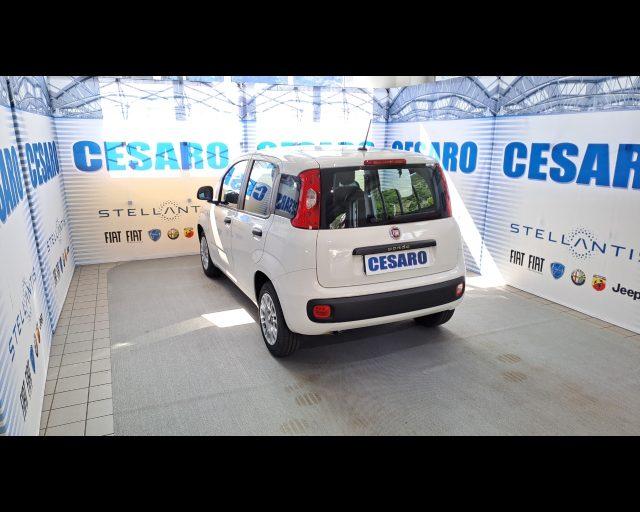 FIAT New Panda 1.2 69cv Easy s&s 5 posti