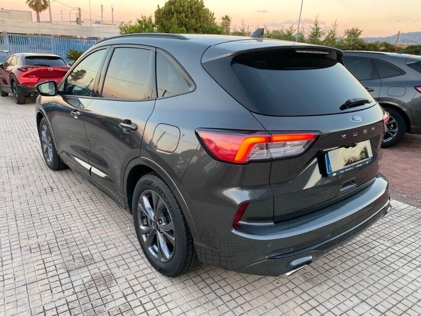 Ford Kuga 1.5 EcoBlue 120 CV 2WD ST-Line