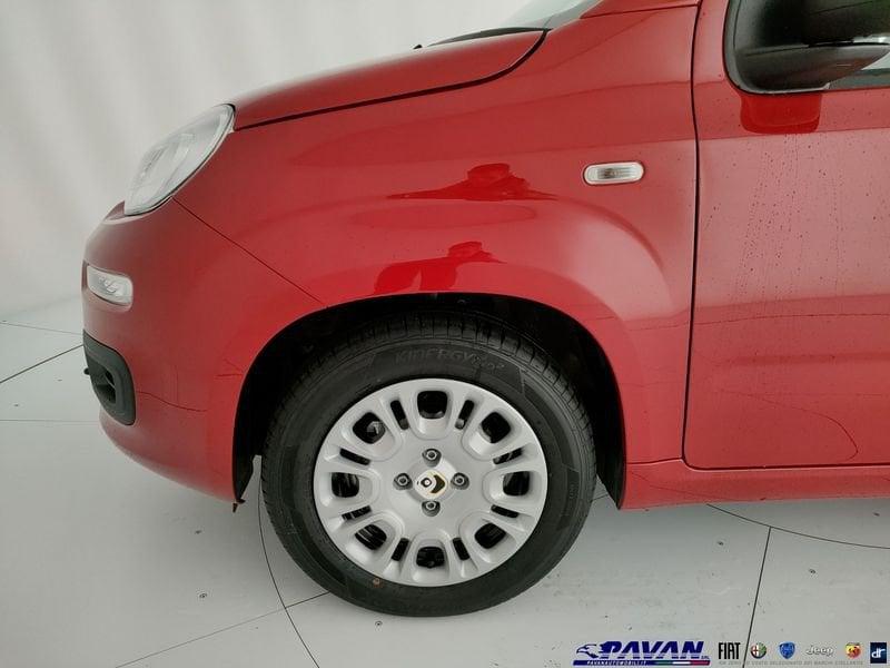 FIAT Pandina Panda 1.0 FireFly 65 CV Hybrid Pop