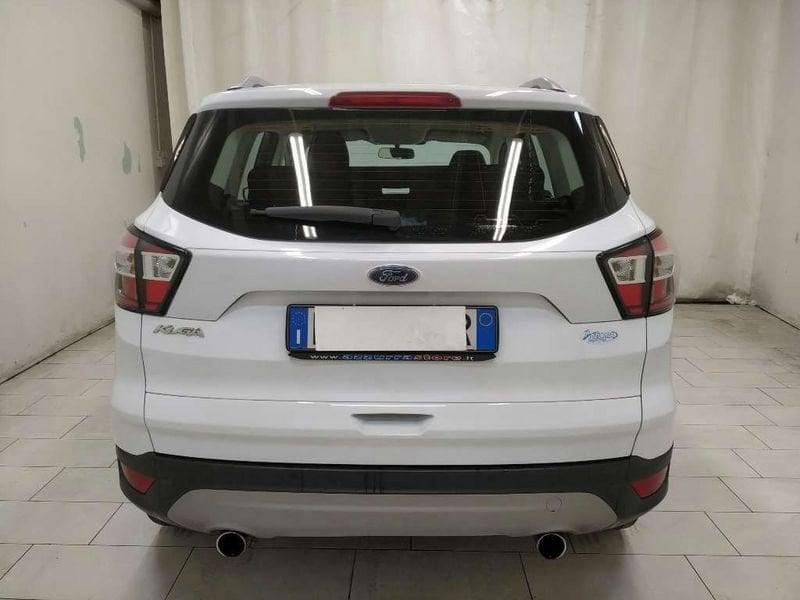 Ford Kuga 1.5 tdci Plus s&s 2wd 120cv my18