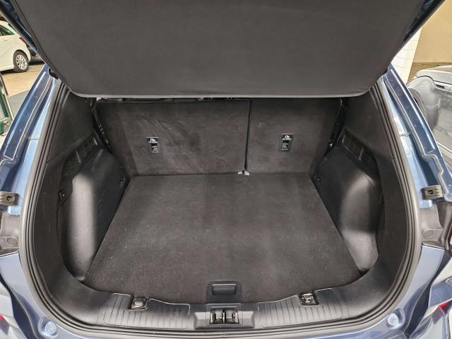 Ford Kuga Kuga III 2020 1.5 ecoblue ST-Line X 2wd 120cv auto