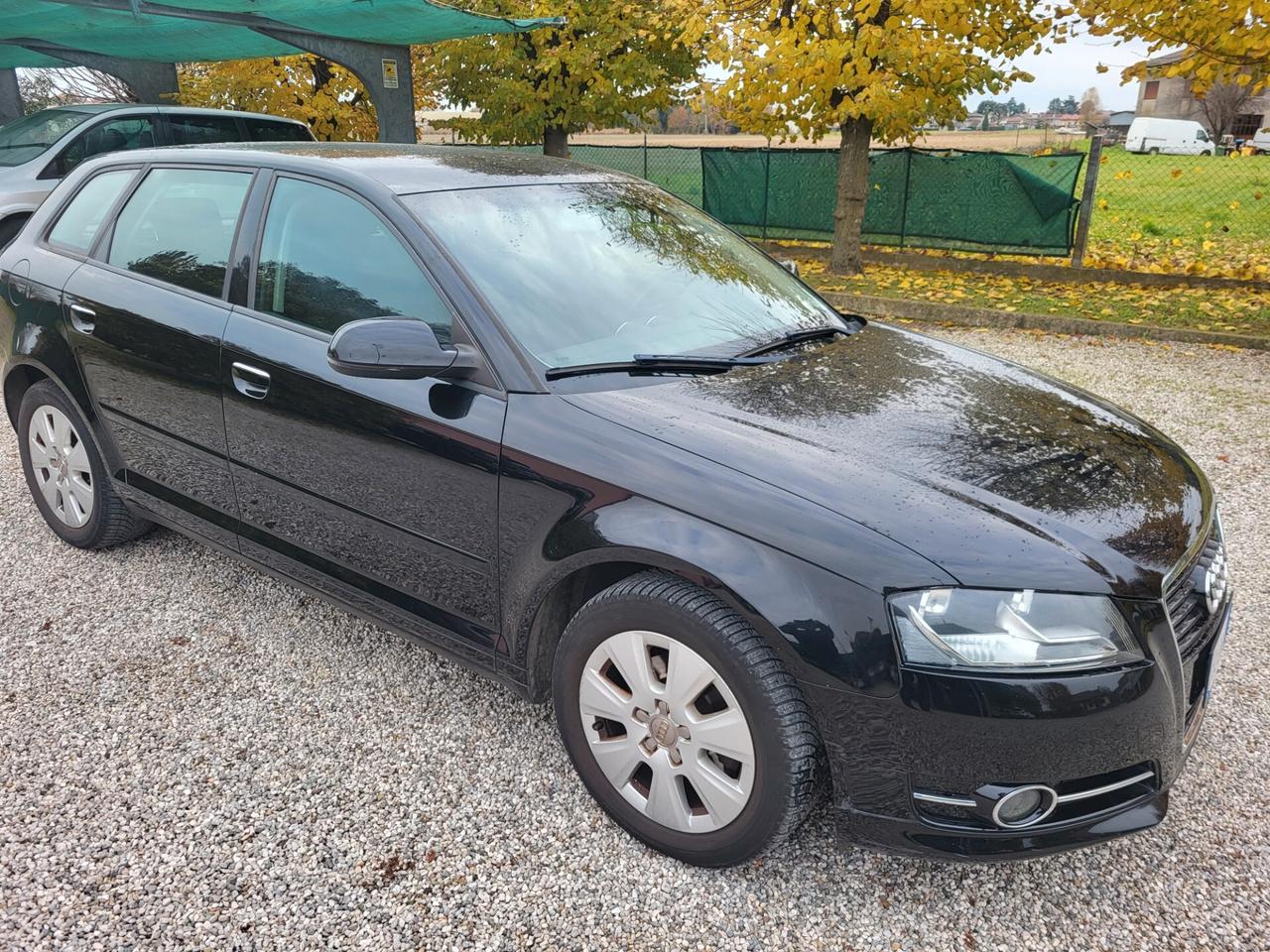 Audi A3 1.6 TDI 90 CV CR F.AP. Ambition