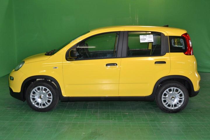 FIAT PANDA - 1.0 70CV HYBRID