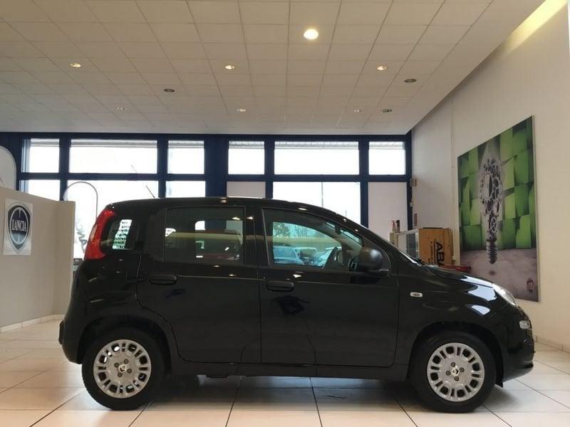 FIAT Panda Panda 1.0 FireFly S&S Hybrid Pop 65cv