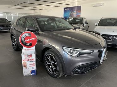ALFA ROMEO Stelvio 2.2 TD 190 CV AT8 Executive