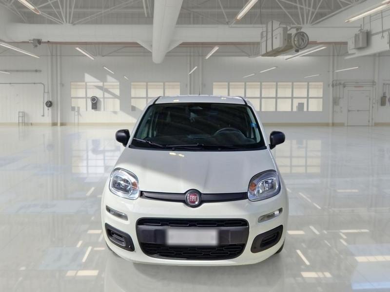 FIAT PANDINA 1.0 FIREFLY 65 CV SES 6M HYBRID ICON 5 PORTE BERLINA