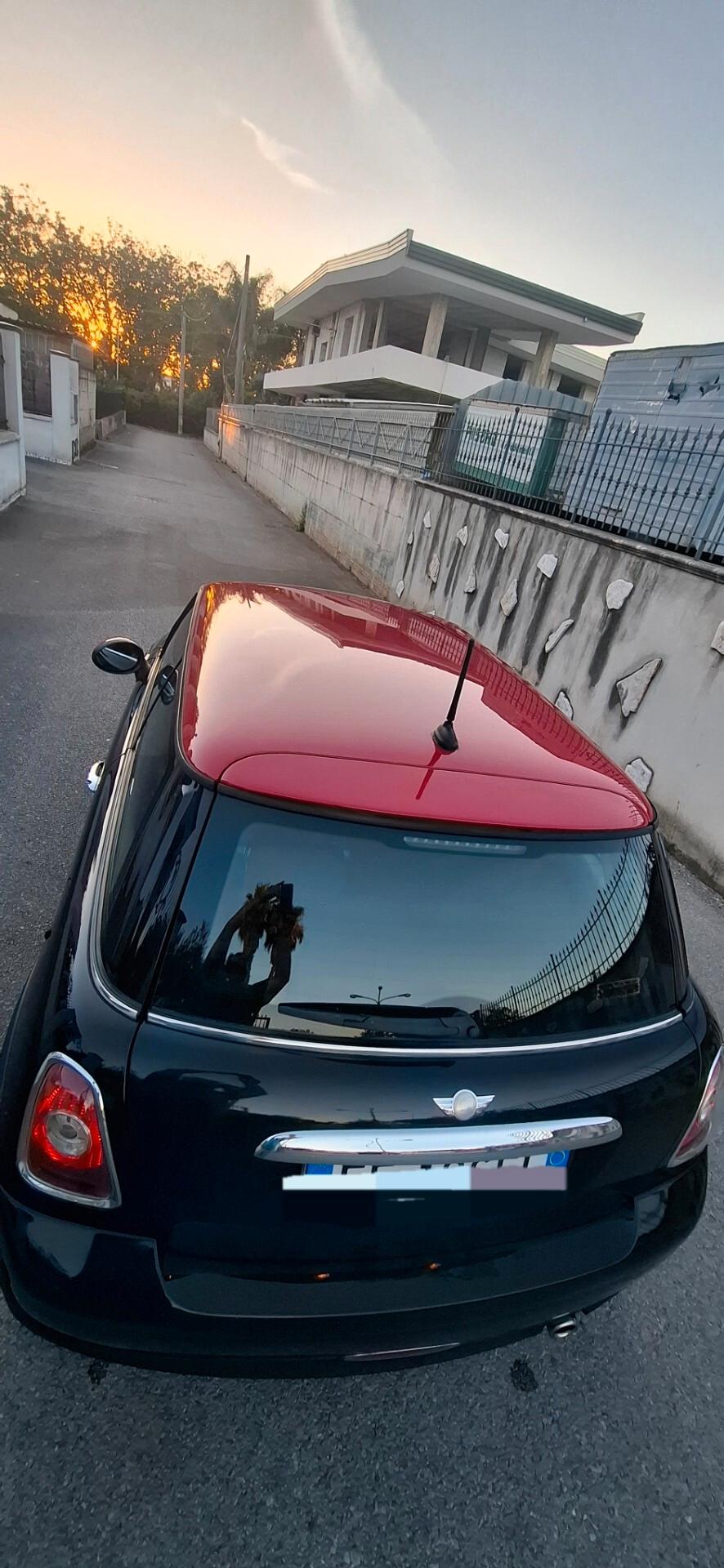 Mini Ray