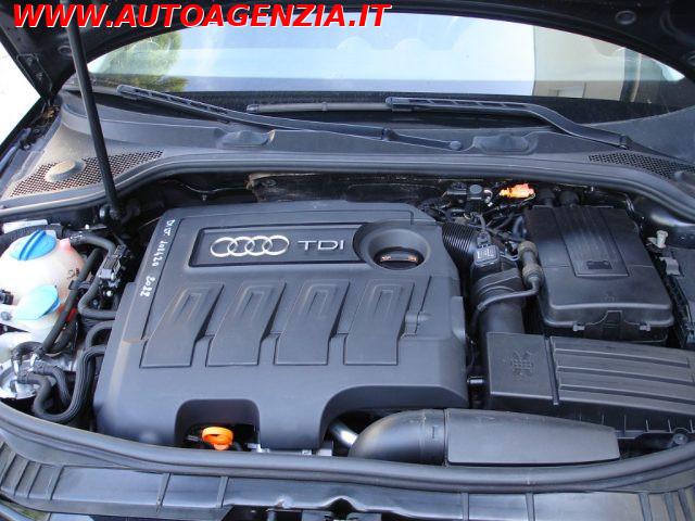 AUDI A3 SPB 1.6 TDI 90 CV