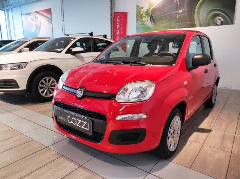 FIAT Panda 3ª serie - Panda 1.2 Easy